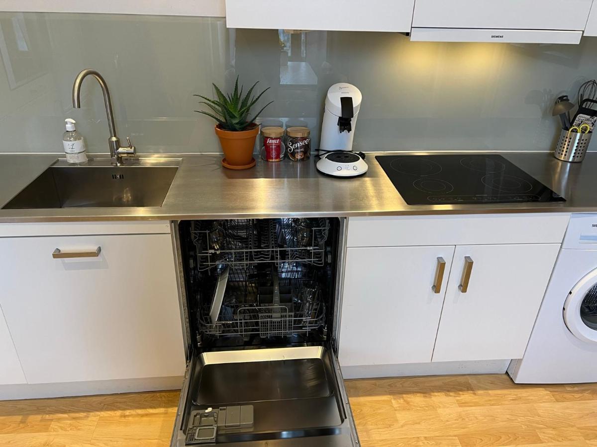Fredrikstad Cicignon, Peaceful But Central With Garden, Parking And Long Stay Facilities מראה חיצוני תמונה